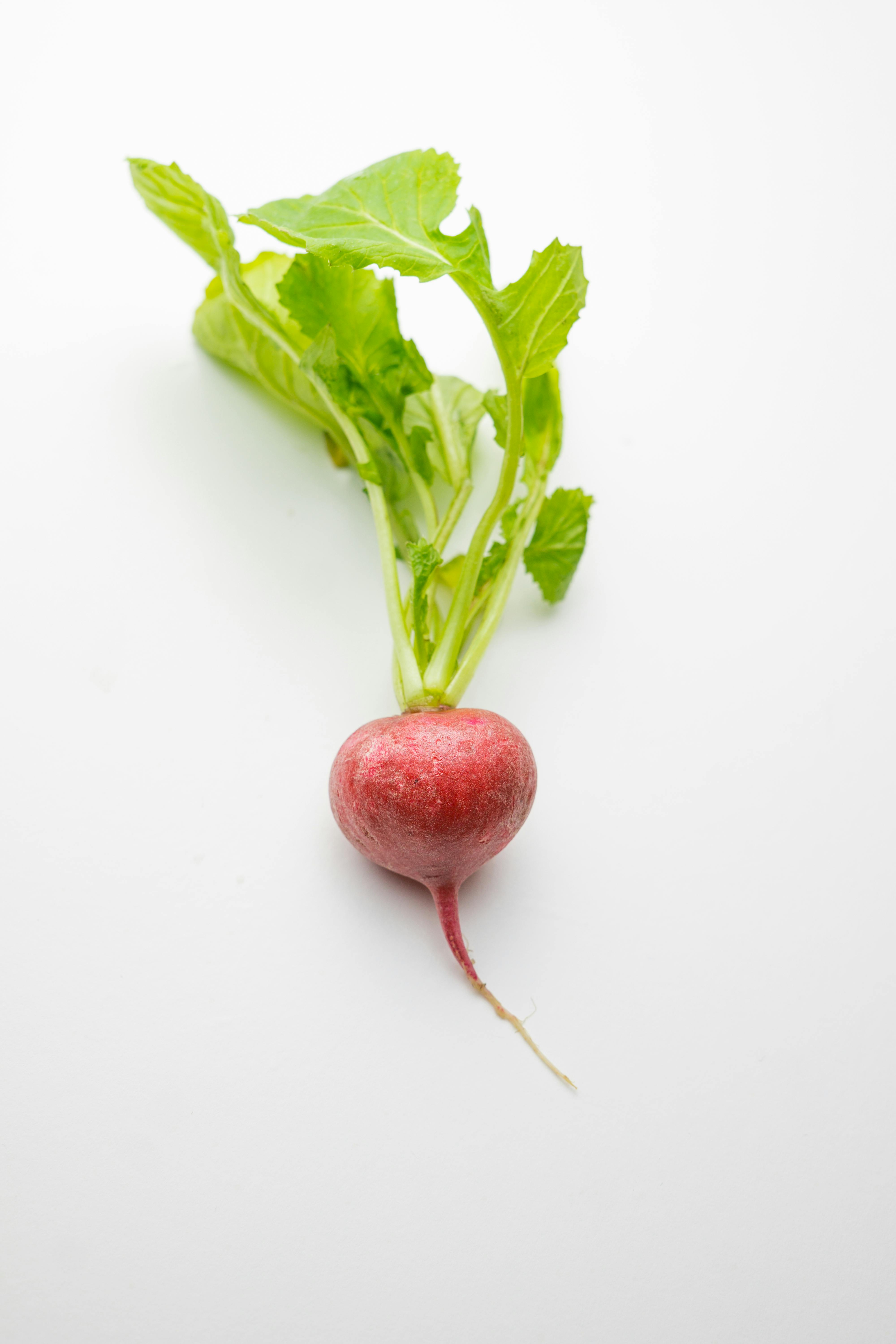 Effective Ways to Optimize a Low Fermentation Diet in 2025