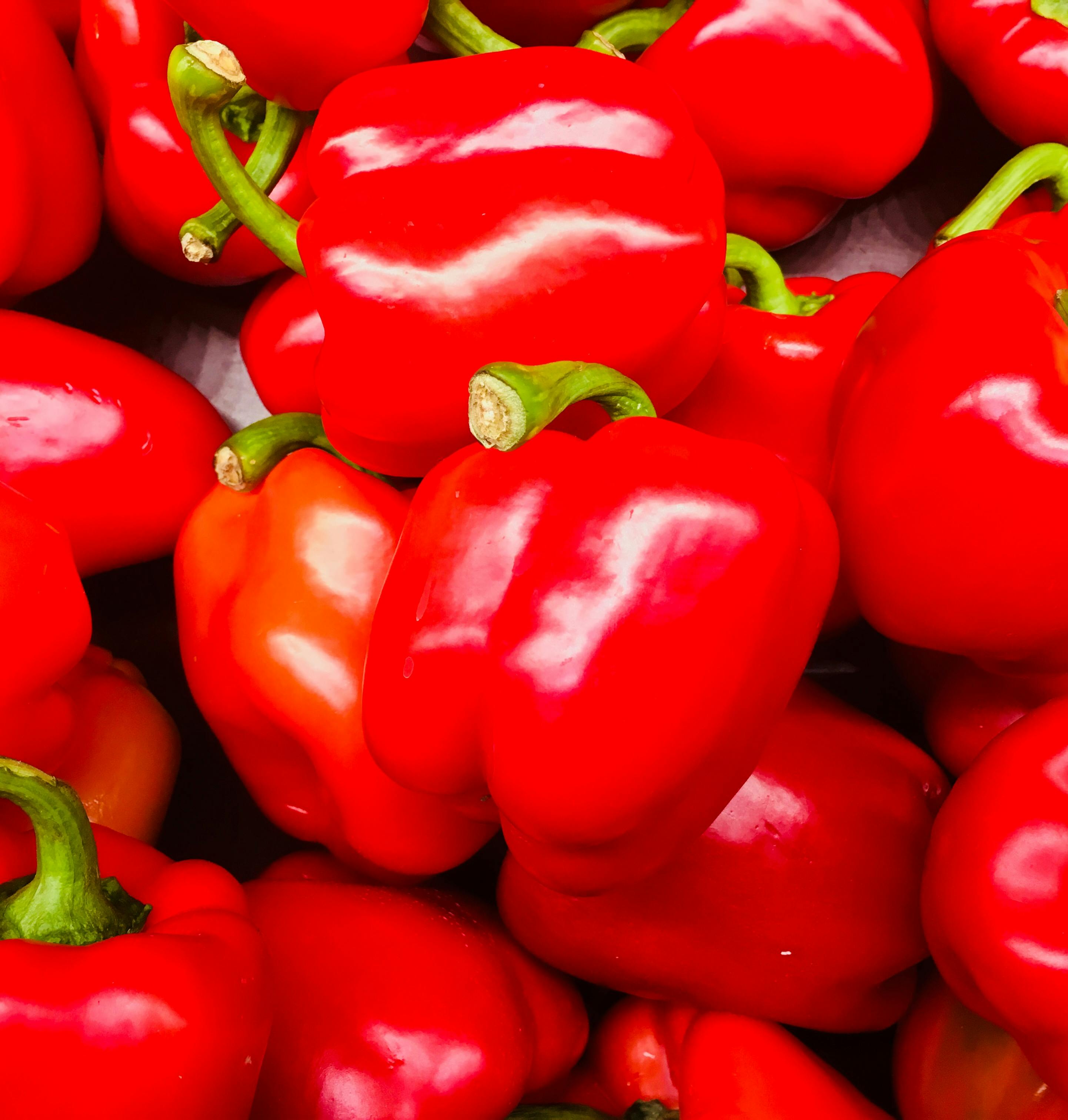 Top 5 High Calorie Meals to Fuel Your Fitness in 2025